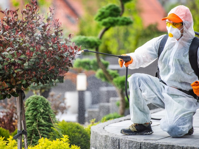 Alpu Haşere İlaçlama